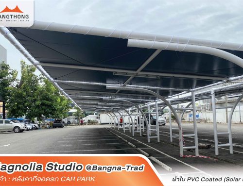 Magnolia Studio @Bangna-Trad