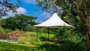 หลังคาผ้าใบแรงดึงสูง