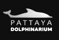 PATTAYA DOLPHINARIUM